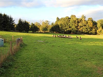 Garden & Paddock